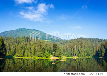 scenic landscape with lake among coniferous forest. beautiful place for weekend vacation and photography in transcarpathia. peaceful sunny morning in summer with blue sky 127933499