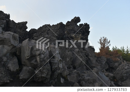 Kagoshima Arimura Lava Observatory Observatory Kagoshima Arimura Lava Observatory Observatory 127933783