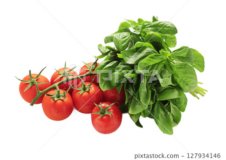 Cherry tomatoes and green basil isolated on white background Cherry tomatoes and green basil isolated on white background 127934146
