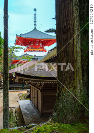 Konosan altar Primary Basement of the Cathedral 127934210