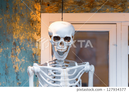 Not a real decorative human skeleton for halloween decoration 127934377