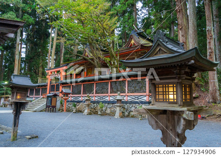 Takanosan Gosha 127934906