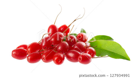 Elaeagnus multiflora isolated on white background. Cherry elaeagnus or cherry silverberry with green leaves. Goumi or gumi berry. 127934991