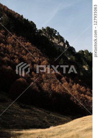 Autumn forest in Montenegro, Prokletije mountains glows with rusty foliage under afternoon sun. Rich textures and moody shadows create a dramatic landscape Autumn forest in Montenegro, Prokletije mountains glows with rusty foliage under afternoon sun. Rich textures and moody shadows create a dramatic landscape 127935063