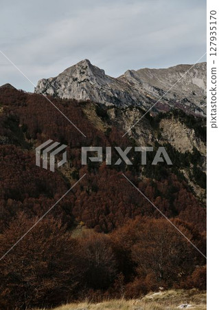 Colorful red forest and rocky mountain ridge in autumn, Prokletije National Park, Montenegro country Colorful red forest and rocky mountain ridge in autumn, Prokletije National Park, Montenegro country 127935170