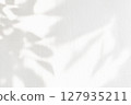 Natural white background with plant shadows 127935211