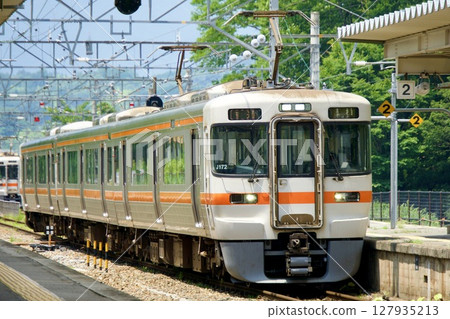 313系列（J172次列車）進入天龍峽站 127935213