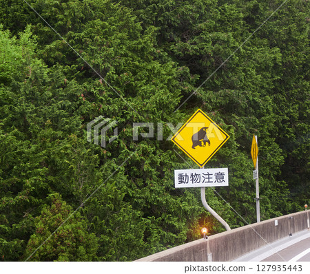 日本春季山區的新鮮綠色植物和高速公路上的動物警告標誌 日本春季山區的新鮮綠色植物和高速公路上的動物警告標誌 127935443