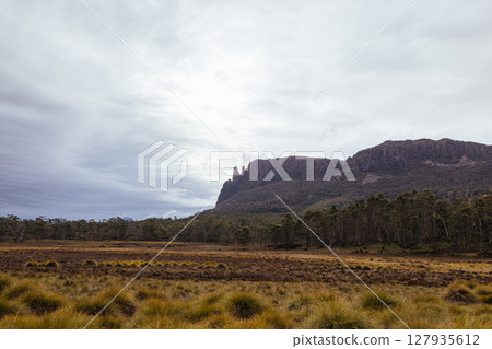 Arm River Track in Tasmania Australia Arm River Track in Tasmania Australia 127935612