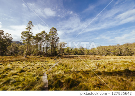 Arm River Track in Tasmania Australia Arm River Track in Tasmania Australia 127935642