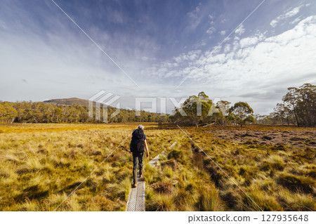 Arm River Track in Tasmania Australia Arm River Track in Tasmania Australia 127935648