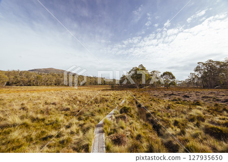 Arm River Track in Tasmania Australia Arm River Track in Tasmania Australia 127935650