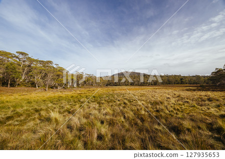 Arm River Track in Tasmania Australia Arm River Track in Tasmania Australia 127935653