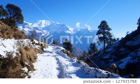 Scenic Himalayan Mountain Trail with Snow Covered Peaks and Pine Trees on a Clear Blue Day Scenic Himalayan Mountain Trail with Snow Covered Peaks and Pine Trees on a Clear Blue Day 127935798