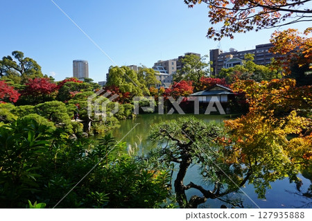 秋日的相樂園,神戶市的紅葉日本花園 秋日的相樂園,神戶市的紅葉日本花園 127935888