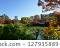 Sorakuen in Autumn, Japanese Garden with Autumn Leaves, Kobe City 127935889