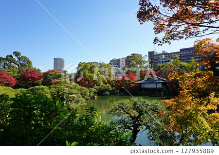 秋日的相樂園，神戶市的紅葉日本花園 127935889