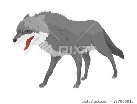 Gray wolf. A predatory beast. Wild forest animal. Vector hand drawn vintage old sketch for stamp, t-shirt or typography or badge Gray wolf. A predatory beast. Wild forest animal. Vector hand drawn vintage old sketch for stamp, t-shirt or typography or badge 127936013