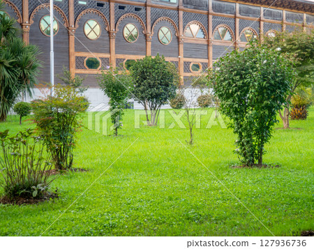 Bushes in the park. Well-groomed park area. Quiet place in the city. Bushes in the park. Well-groomed park area. Quiet place in the city. 127936736