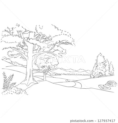 forest with clouds forest with clouds 127937417