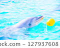 Dolphins swimming in the pool 127937608