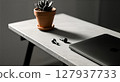 computer  and cactus plant in flower pot 127937733