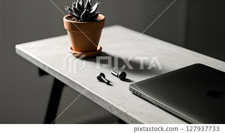 computer  and cactus plant in flower pot 127937733