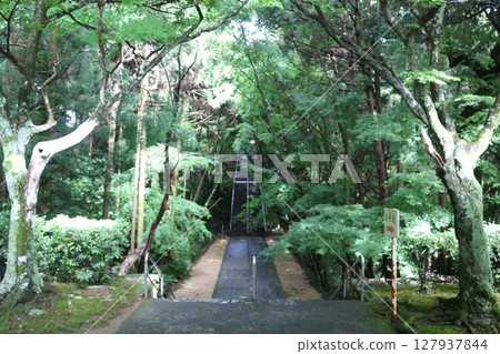 Negoro-ji Temple, 82nd Temple of the Shikoku Pilgrimage 127937844