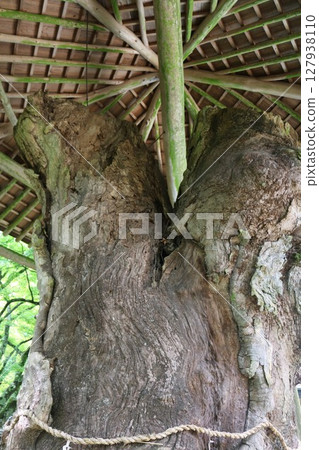 四國巡禮第 82 寺根歸寺 127938110