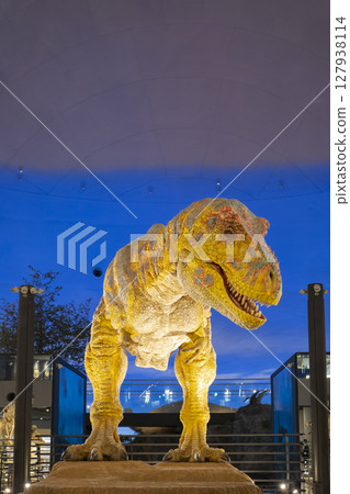 Tyrannosaurus at the Dinosaur Museum 127938114