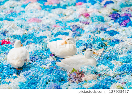Ducks floating on a hydrangea water Chinese dish 127938427