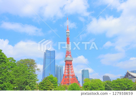 Tokyo Tower and fresh greenery in Minato-ku, Tokyo Tokyo Tower and fresh greenery in Minato-ku, Tokyo 127938659