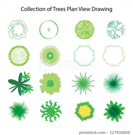 illustration of gardening and landscape, Pictures of various forms of trees for work, different types of tree paintings, Collection of trees plan top view drawing illustration of gardening and landscape, Pictures of various forms of trees for work, different types of tree paintings, Collection of trees plan top view drawing 127938809