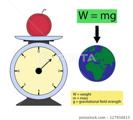 illustration of physics, weight force, Laws of Motion, Weight Formula, Calculate weight given mass and gravity, Newton's second law of motion 127938813