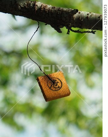 Tex板（用於防治柑橘果蠅） 127939073