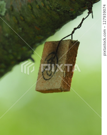 Tex板（用於防治柑橘果蠅） 127939074