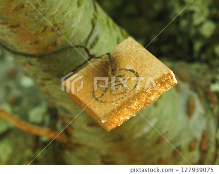 Tex板(用於防治柑橘果蠅) Tex板(用於防治柑橘果蠅) 127939075