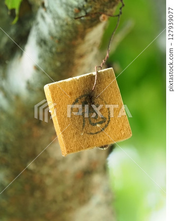 Tex board (for preventing citrus fruit flies) 127939077