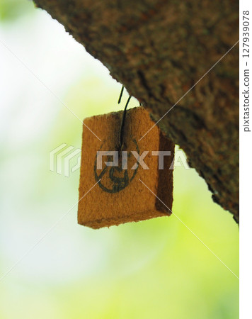 Tex board (for preventing citrus fruit flies) 127939078