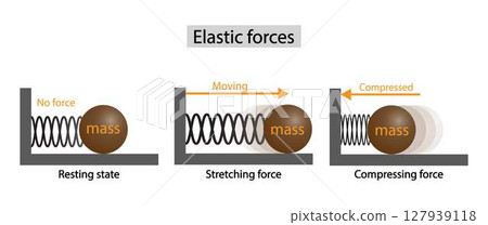 illustration of physics, elastic forces, Elastic force, stretch, resting, compressed tension. Elasticity potential energy graphic, Elastic force 127939118