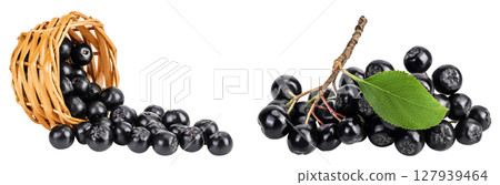 Chokeberry in a wicker basket isolated on white background. Black aronia. Chokeberry in a wicker basket isolated on white background. Black aronia. 127939464