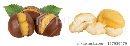 roasted chestnut isolated on white background wit full depth of field. roasted chestnut isolated on white background wit full depth of field. 127939479