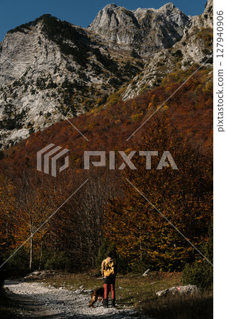 Male hiker and German Shepherd dog stand on a mountain trail amid golden autumn forest in Montenegro Prokletije National Park. Rear view. Travel with pet concept Male hiker and German Shepherd dog stand on a mountain trail amid golden autumn forest in Montenegro Prokletije National Park. Rear view. Travel with pet concept 127940906