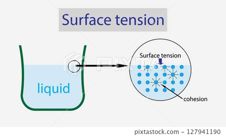 illustration of physics, Water has a surface...-插圖素材 [127941190] - PIXTA圖庫