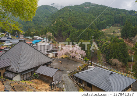 島田市川根町（靜岡縣）的十榮櫻花風景 127941357