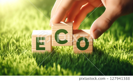 Wooden blocks on green grass with the word ECO. Concept of environment and ecology 127941388