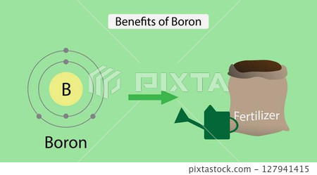 illustration of chemistry, Benefits of Boron, Boron increases flower production and retention, pollen tube elongation and germination and seed and fruit development, fertilizer illustration of chemistry, Benefits of Boron, Boron increases flower production and retention, pollen tube elongation and germination and seed and fruit development, fertilizer 127941415