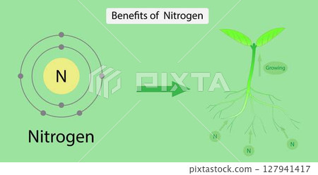 illustration of chemistry, Benefits of Nitrogen, Nitrogen is so vital because it is a major component of chlorophyll, photosynthesis, Nitrogen is an essential nutrient for plant growth 127941417