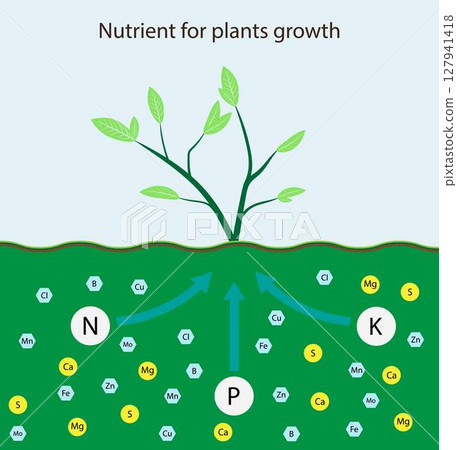 illustration of chemistry and biology, Nutrient for plants growth, Role of nutrients mineral in plant and soil life with mineral nutrients, biochemistry 127941418