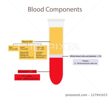 illustration of biology and medical, Blood components medical, Hematocrit Blood analysis conducted in the glass test tube using centrifugation, glass tube with centrifuged blood 127941653